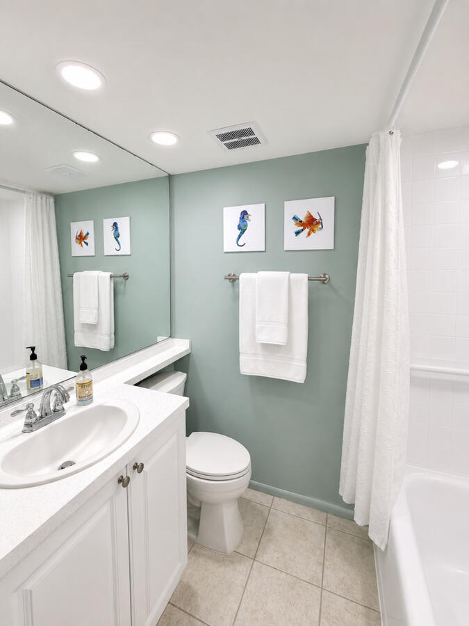 Unit 310: Guest Bathroom (1)